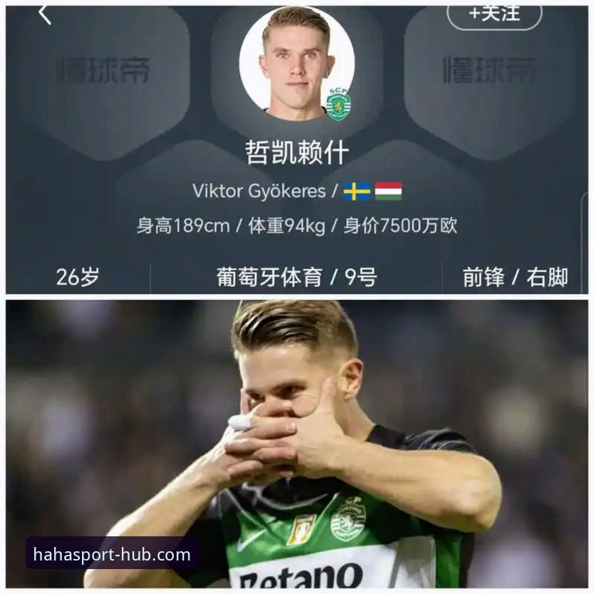 解读英超射手榜风云：哲凯赖什20球里程碑的观赛实用指南